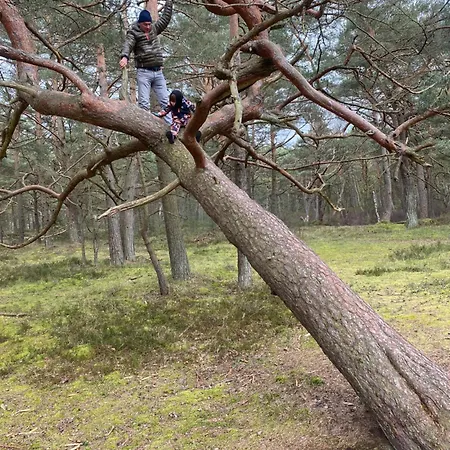 Niebieski Dom Apartment *