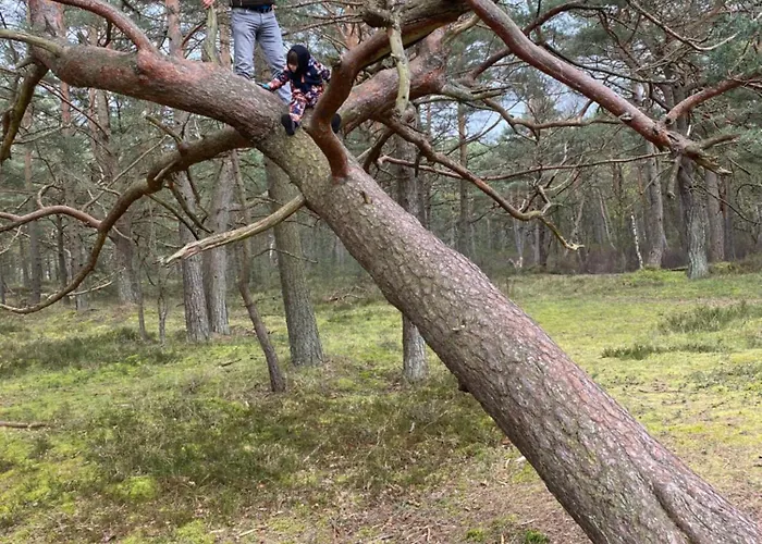 Niebieski Dom Daire *